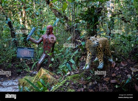 ¿Te Atrapa la Historia del Curupira: Espíritu Protegdor de la Selva Amazónica?